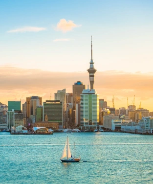 Education Consultant to Study in New Zealand